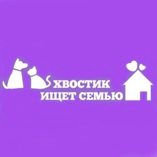 Аватар Telegram-канала Хвостик ищет семью