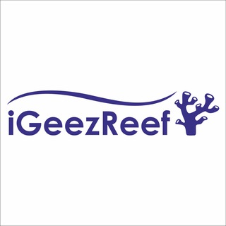 Аватар Telegram-канала iGeezReef🪸|Морские аквариумы