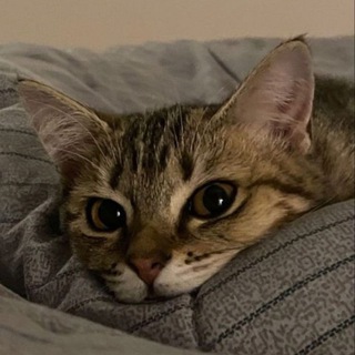 Аватар в 100 школе любят