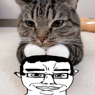 Аватар Инцeлоэстетика