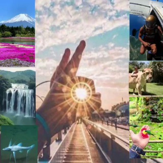 Аватар Telegram-канала Этот удивительный мир…🌍🦗🦀🐬🐘🐇🦜🌴🪐 Путешествие, страны, природа