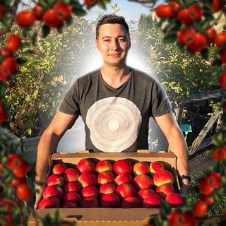 Аватар Telegram-канала Дмитрий Парфёнов | Сады | Ягоды | Саженцы