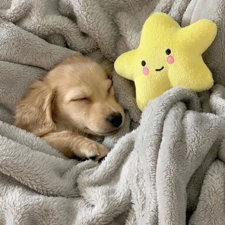 Аватар Telegram-канала Ответы Интернет Урок 5-6 класс