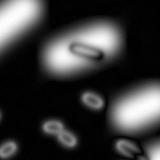 Аватар Telegram-канала Фестиваль невидимого кино