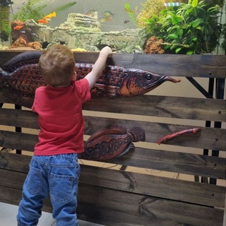 Аватар Иркутский аквариум «Мир за стеклом»