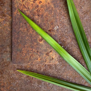 Аватар Железный сад — производство скульптуры и МАФ из металла