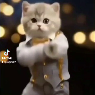 Аватар Telegram-канала Взаимовыручка🤝♾️