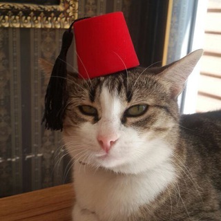 Аватар Telegram-канала Поехали в Стамбул | релокация | переезд