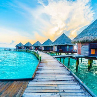 Аватар I Travel Nonstop 🏝️🌍/ Туры по лучшим ценам ☀️