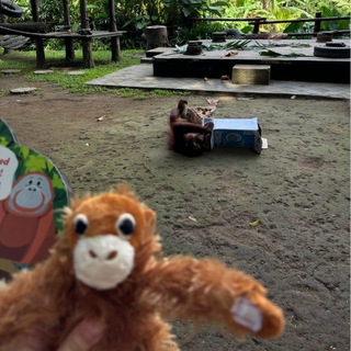 Аватар Telegram-канала менялу обменяю