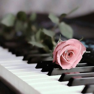 Аватар Telegram-канала Христианская музыка