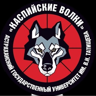 Аватар Telegram-канала Каспийские волки |Спортклуб Астраханского государственного университета им. В.Н.Татищева🐺