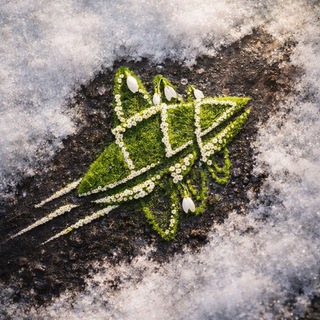 Аватар Казанский государственный цирк