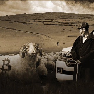 Аватар Telegram-канала Казах в Крипте