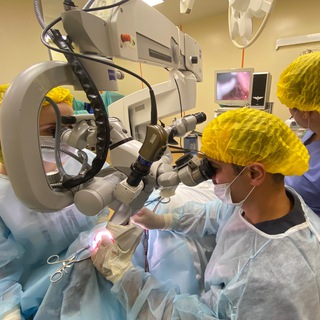 Аватар Отдел Заболеваний уха и основания черепа НМИЦО ФМБА