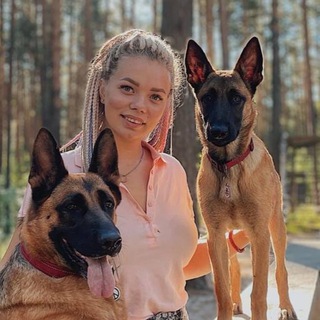 Аватар Telegram-канала Анна Голикова | Кинолог | Дрессировка | Орехово-Зуево