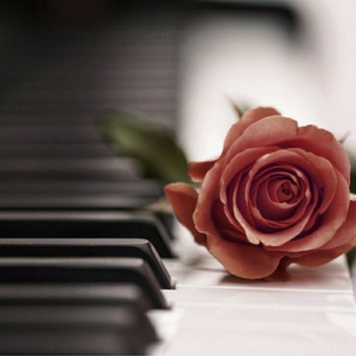 Аватар Telegram-канала Классическая музыка. 🎶