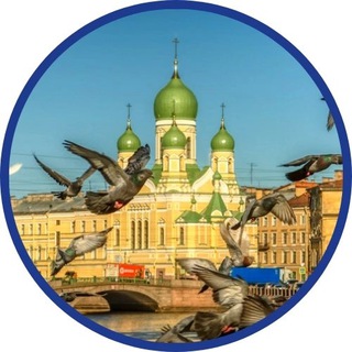 Аватар Соседи Коломна, Санкт-Петербург