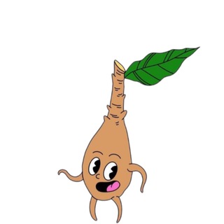 Аватар Георгины Ферма Клубни