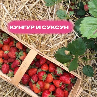 Аватар Telegram-канала Клубника Суксун