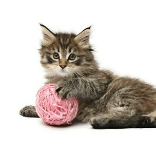 Аватар Telegram-канала Вязание детям — схемы, МК, фото!