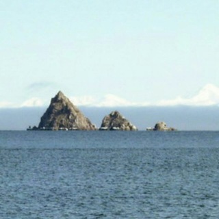 Аватар Telegram-канала Колыма инсайд