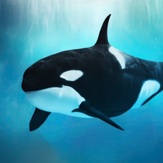 Аватар Telegram-канала Косатка Ная