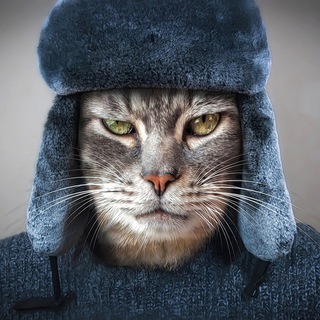 Аватар Кошкин Сибиряк