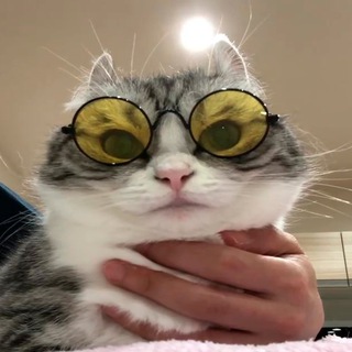 Аватар Telegram-канала Новости Ковёркать