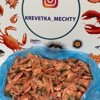 Аватар Telegram-канала Креветки Мечты