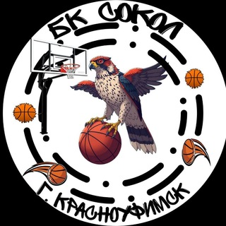 Аватар Telegram-канала Баскетбол в Красноуфимске