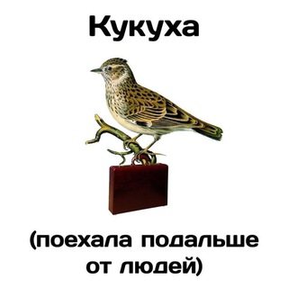 Аватар Telegram-канала ПсихоСпецы и консультанты