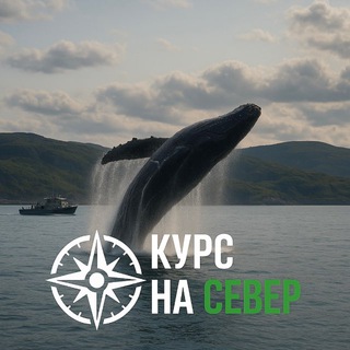 Аватар Туры Териберка | Северное сияние | Киты | Гид | Кольский