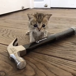 Аватар лекции 1/2 поток