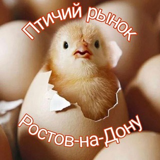 Аватар Птичий рынок Ростова на Дону