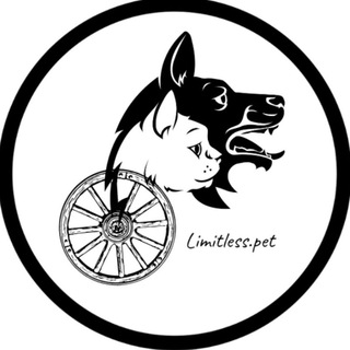 Аватар Telegram-канала Коляски для животных