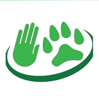 Аватар Telegram-канала ЖИЗНЬ ЖИВОТНЫЕ ИРКУТСК