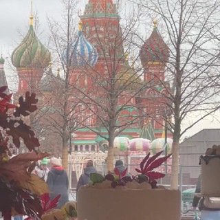 Аватар 📝 лицейские путевые заметки