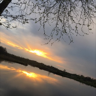 Аватар Финансы | Экономика | Дивиденды