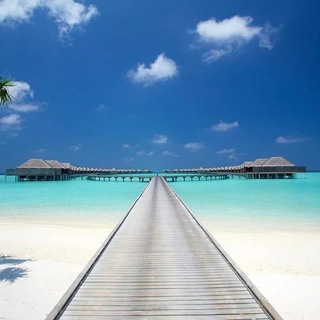 Аватар Telegram-канала Мальдивы | Туры на Мальдивы | Kingdom of Maldives 🇲🇻