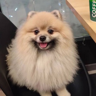 Аватар Мамочки скидки 2 лепестка