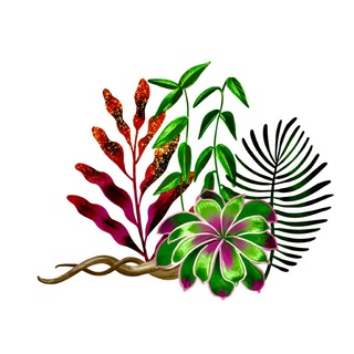 Аватар Растения силы | Растения учителя — Перу 🌳