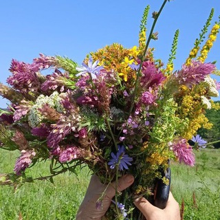 Аватар Telegram-канала Мастерская «Живые дары приРоды» во благо здоровью.