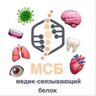 Аватар Telegram-канала МСБ | Медик-связывающий белок