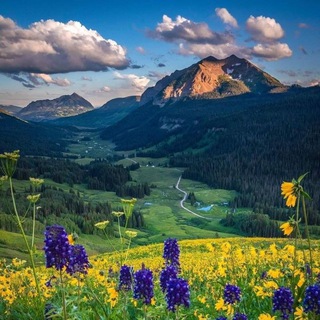 Аватар Relax musik. Музыка для медитации, сна, йоги. Звуки природы.