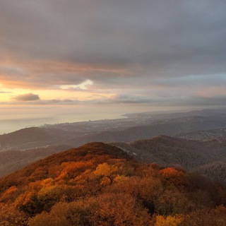Аватар Telegram-канала 🔊Музыка для медитаций🧘 и глубокого расслабления