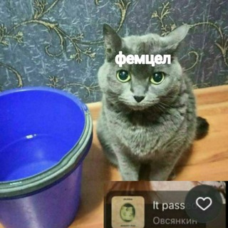 Аватар Telegram-канала Сборник авангардных, но зачастую обычных приколов,порнухи (и аниме) 2003🪣