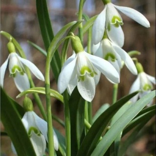 Аватар Telegram-канала Депутат Мельникова М.С. Лиски.Бердянск🇷🇺