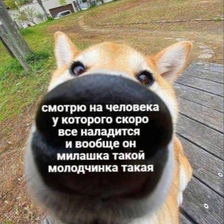 Аватар Telegram-канала МемыСкрепы 2