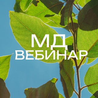 Аватар Метафизика Денег 4 поток. Первый вебинар